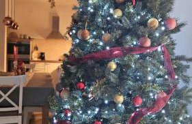 House Sablja - Foto 3