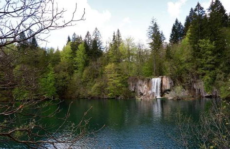 River Rose - Foto 23