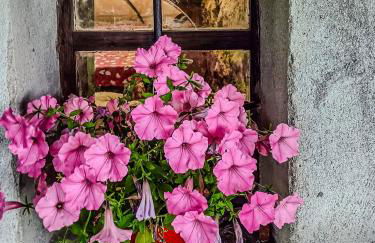 Chalet di montagna in pietra - Val di Chy - Foto 20