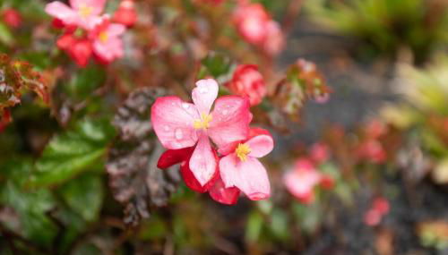 Portas da Levada A by Rent-a-key - Foto 2