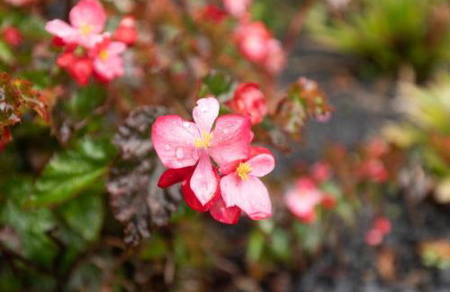 Portas da Levada A by Rent-a-key - Foto 2