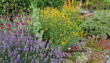 Ferienwohnung Wolf - Foto 2