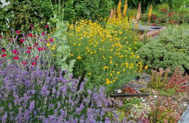 Ferienwohnung Wolf - Foto 2