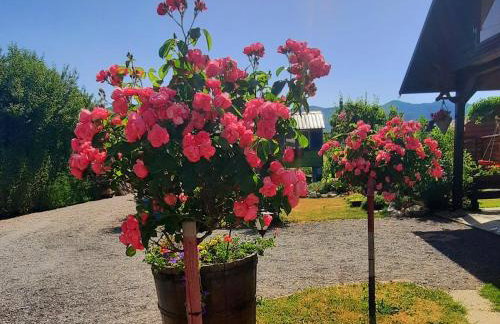 Kuća za odmor Delak - Foto 43