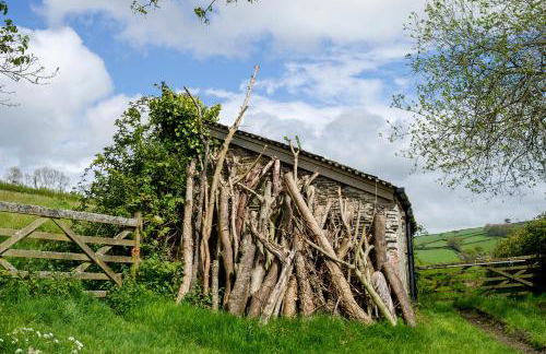 Great Lilly Cottage - Foto 19