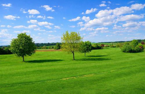 EXTERTAL-FERIENPARK - Premium-Ferienhaus Sonnenhügel #36 - Photo 34