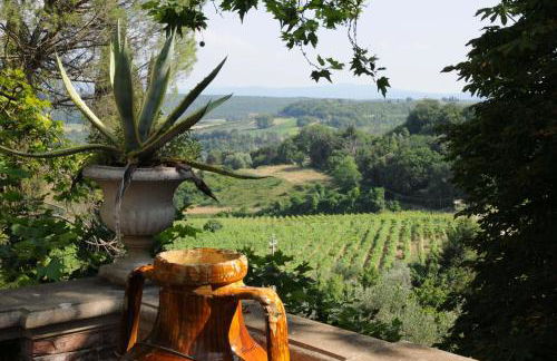 Fattoria di Mugnano - Foto 8