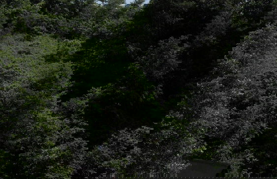 Thomas Hut - Foto 52