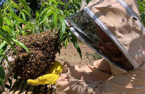 Agriturismo Il Sorbino - Appartamento da Cocca - Foto 21