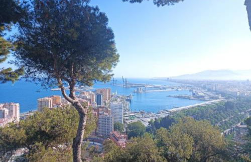 BAHIA DE MALAGA - Photo 57