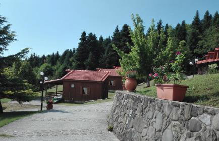 Livadaki Village - Δασικό Χωριό Λιβαδάκι - Foto 40