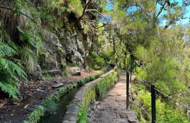 Apartamento Pestana - Foto 31