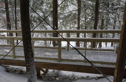 Stellahouse - Awesome Maine Treehouse - Foto 28