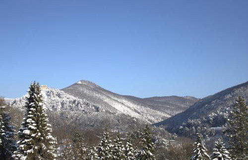 Vila Atlantida - Photo 40