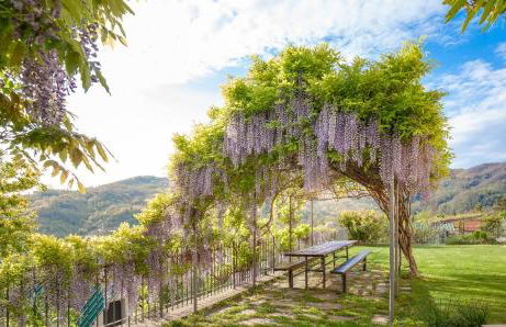 Antica Torre - Foto 37