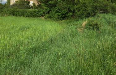 Gîte de Linas - Foto 28