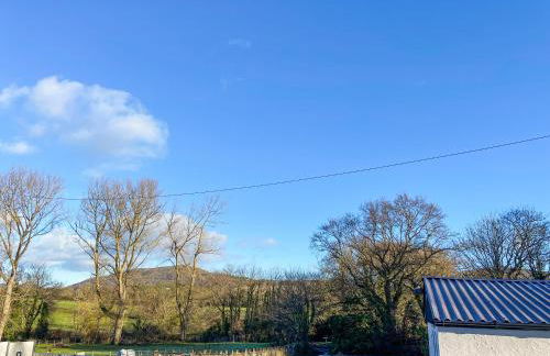 Ddwylig Isaf Farmhouse - Uk48624 - Photo 3