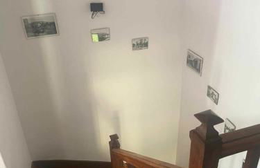 La glycine - Foto 35