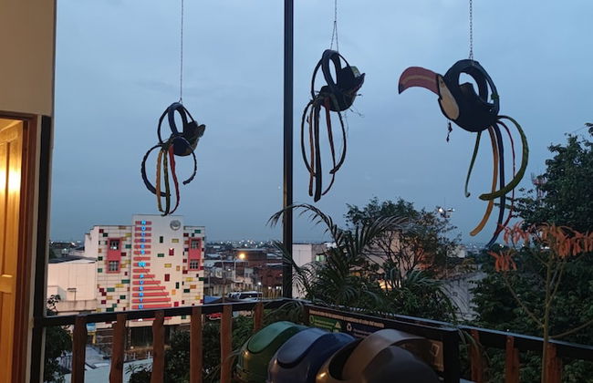 parrot house san antonio - Photo 15