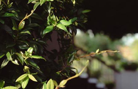 Xrysa's House - Foto 69