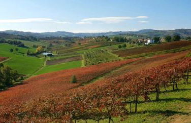 Agriturismo Opera 02 - Photo 23