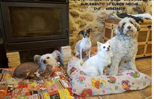 El Pajar de Tía María - Foto 5