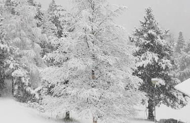 Xalet de muntanya en Parc Natural a 2000 metres - Foto 41