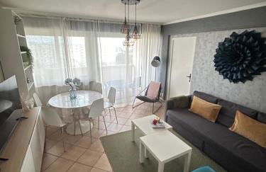 Les 5 pièces sur Strasbourg - Foto 1