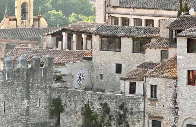 AS Palau dels Alemanys - Foto 69