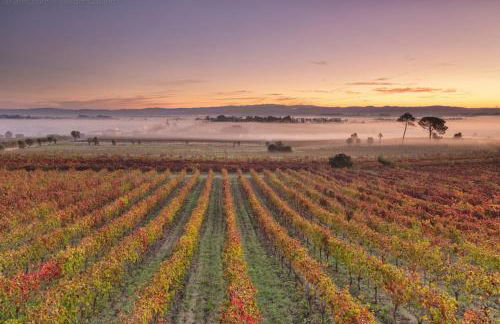 Quinta das Águias - Foto 56