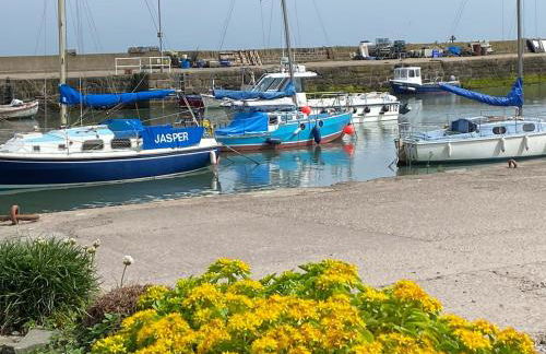 Driftwood - Photo 23