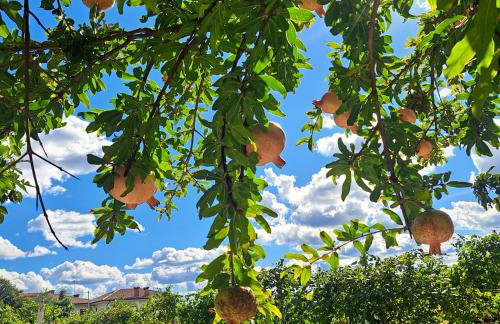 Casadesergio - Photo 32