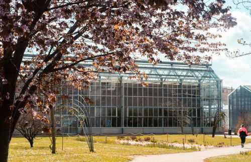 Le Seigneur des anneaux - Foto 4