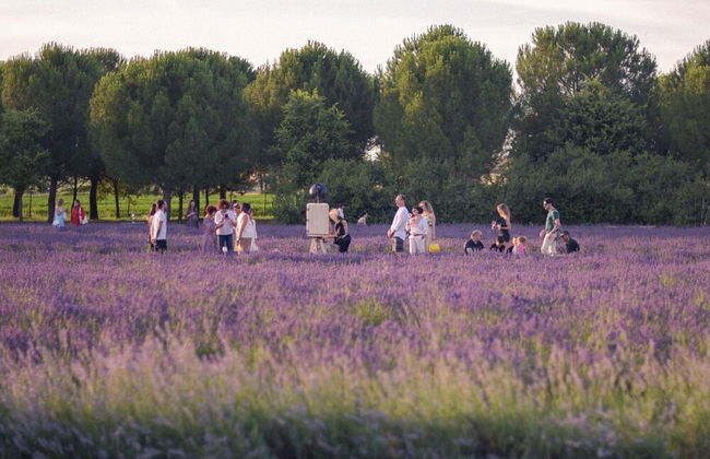 Adorable Farmhouse in Asciano - Photo 26