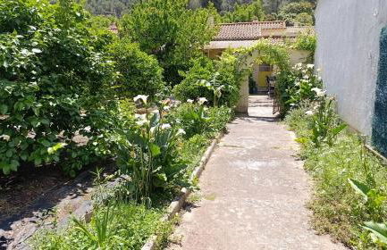 Studio climatisé-terrasse-Netflix-jardin à 10 min de Cassis - Foto 21
