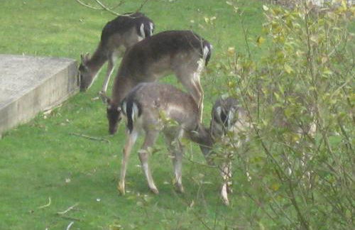 Nightingale Barn - Stunning & Huge - Foto 30