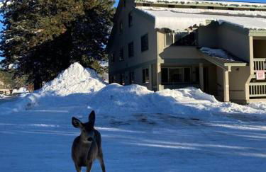 McCall Mountain Getaway - Pet Friendly - Photo 23