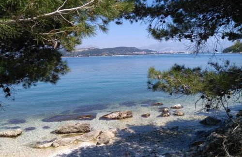 Apartment BUGA - Photo 57