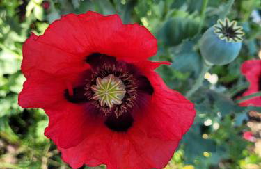 Ferienwohnung bei Helga - Foto 11