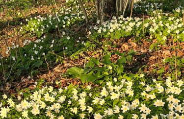 Urlaub auf dem Hänslehof - Foto 36