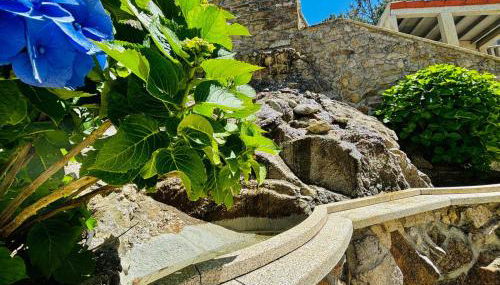 Holibai, Vila Natercia, Horizontes de Galicia, Casa de Piedra y Mar, Baiona - Foto 4, Garden, Garden view