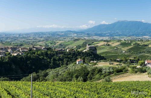 Agriturismo Casa Rosa - Foto 50