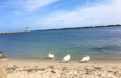 Traumoase in Timmendorfer Strand - Foto 7