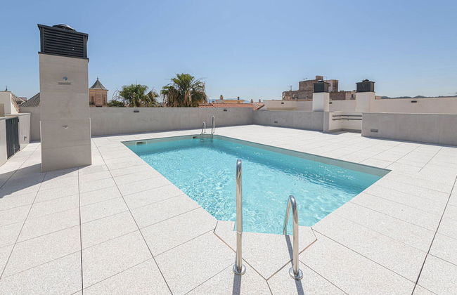 Solaga - Chinchilla - Foto 28