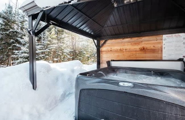 Sommet- Pet Friendly- Spa- SKI IN SKI OUT St-c me - Foto 22