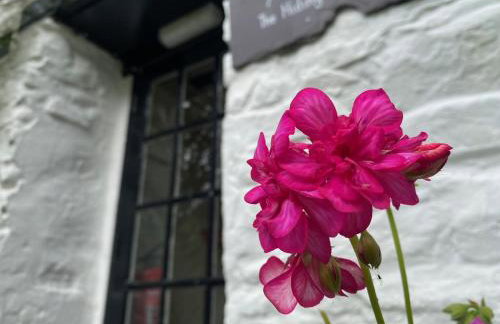 Brynarth Country Cottages - Foto 72