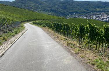 Apartment an der Mosel 1 - Foto 10