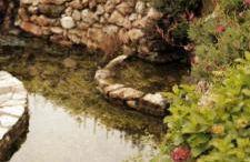 Apartamentos PENAQUENTE - Foto 15