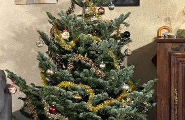 Les Maisons de Marie - Foto 72