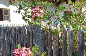 Berg-Panorama-Ferienwohnungen Gut-Lichtenau - Foto 6